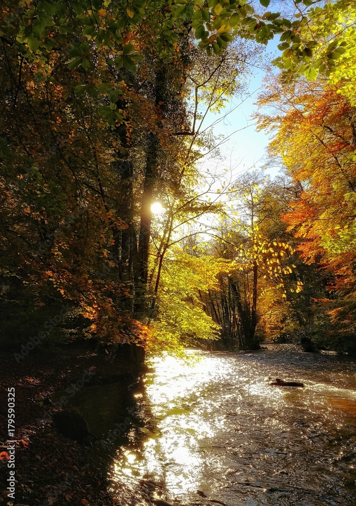 Obraz premium Goldener Oktober