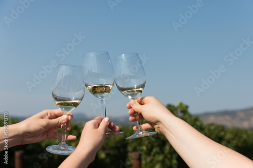 Three women toasting wine glasses in a vineyard