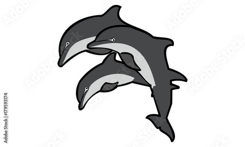 silhouette of the dolphins