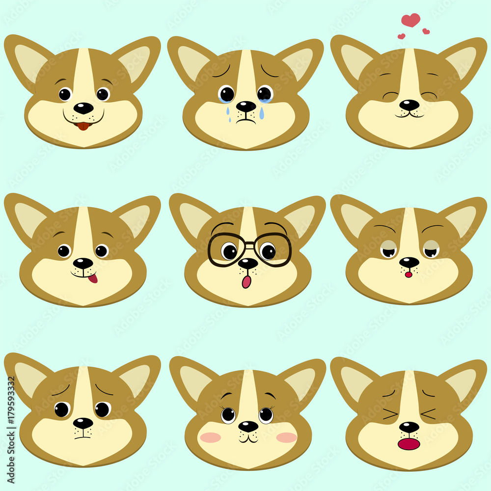 Dog Corgi smiley, a set of different emotions. Dog Corgi smiley, a set of different emotions.