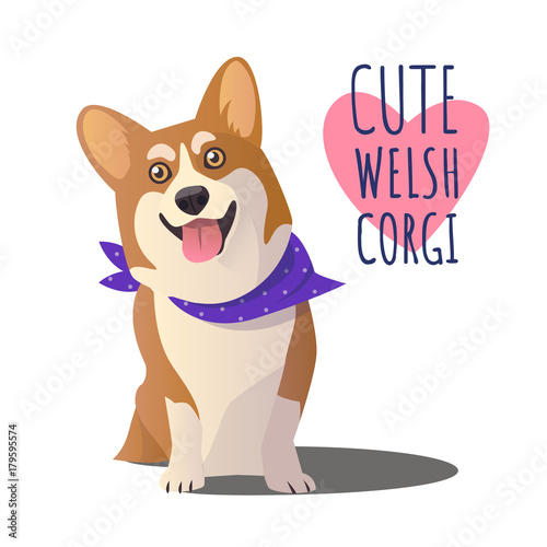 Happy smiling Welsh Corgi dog