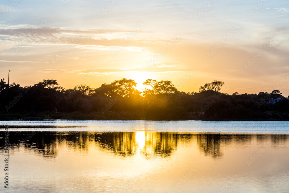Sunset Through Trees Over a Lake with Lens Flare Silhouette of Trees with Reflection on Water