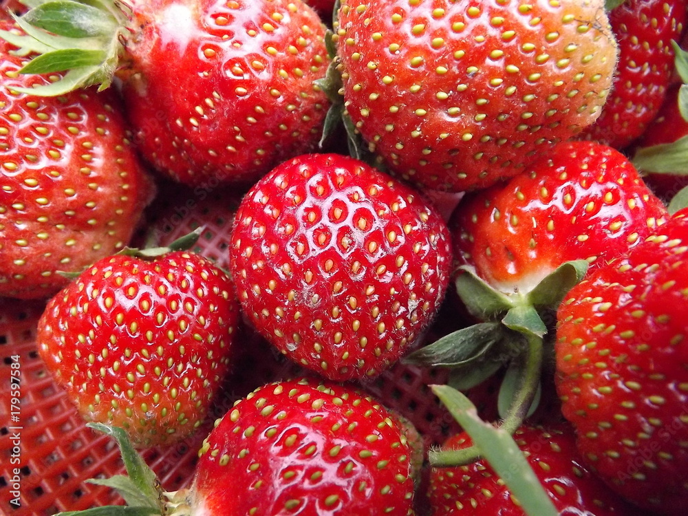 strawberry strawberry