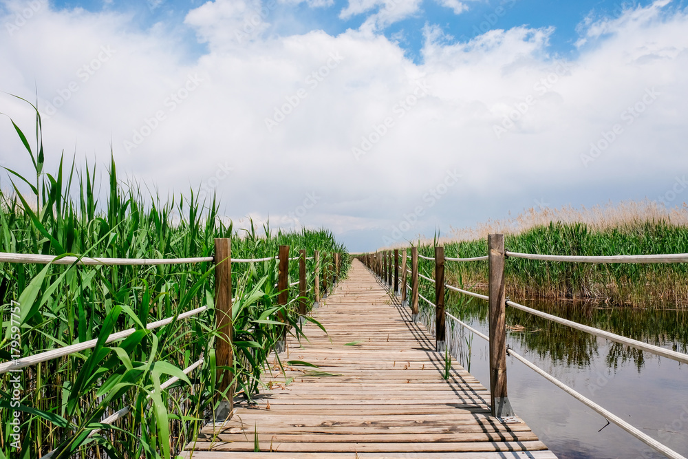 Wooden Walkway Path on Lake and Reeds