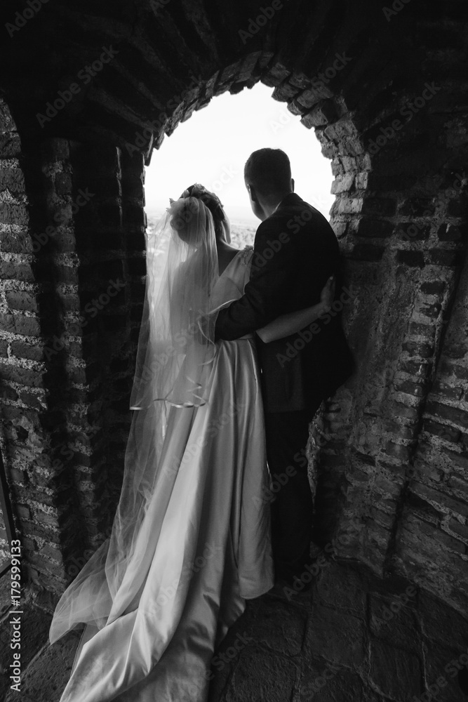 The bride and groom stand on an ancient fortress The bride and groom stand on an ancient fortress