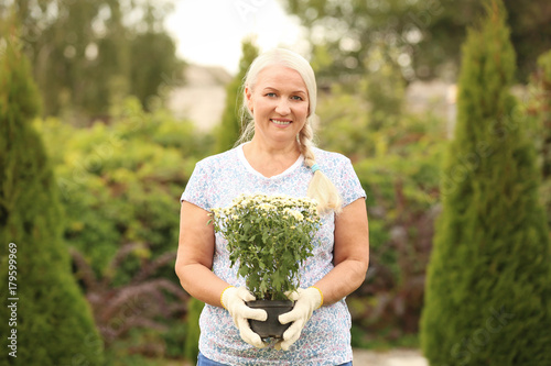 Elderly woman holding bloom...