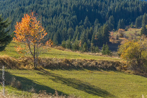 Amazing autumn panorama near village of Gela, Smolyan Region, Bulgaria