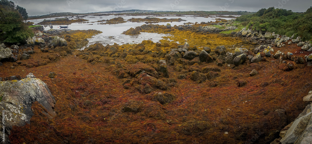 Panoramique, plage d'algues rouges et jaunes et de rochers et deux barques