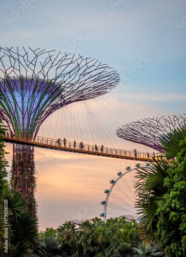 Jardins de Singapour © jasckal