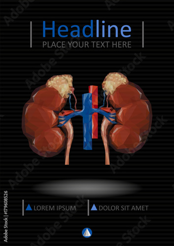 Cover template with Human low poly kidneys with vein and aorta, suprarenal adrenal gland.