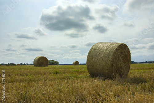 Big circle of hay in the field