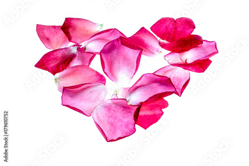 Rose petals as background