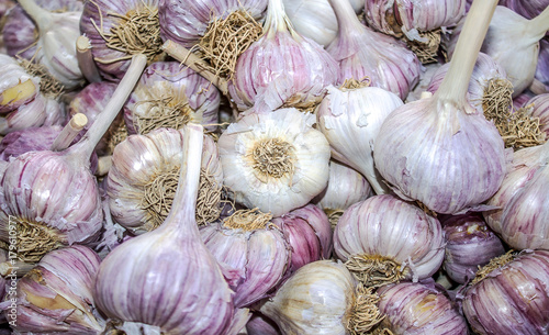 Garlic as a background