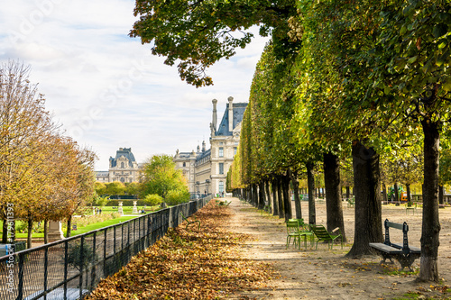 Photography The Flore pavilion of the Louvre palace seen from the Tuileries garden in Paris, by a sunny autumn afternoon, with an alignment of linden trees, metallic chairs and dead leaves on the ground