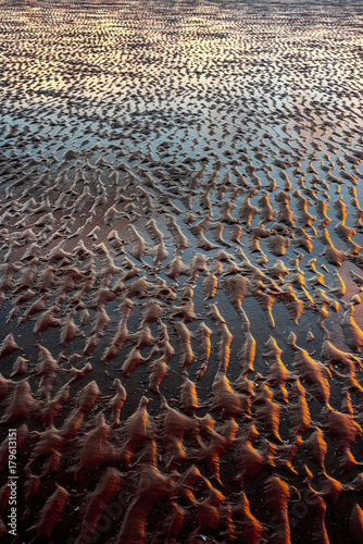 Beach between Liverpool and Blackpool photo