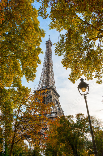 Low angle view of the Eiffel Tower through the foliage of the trees in autumn with an old style street light in the foreground. © olrat