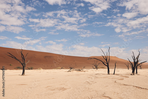 Beautiful namibian desert landscape with dead trees © lucaar