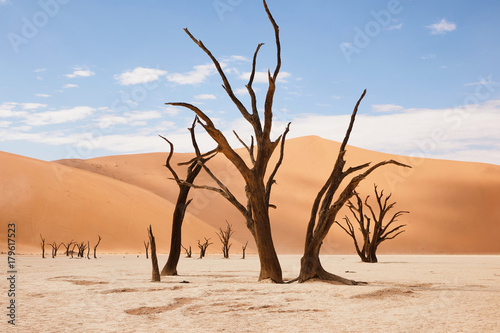 Fotografie, Tablou Dead trees in Namibian desert landscape