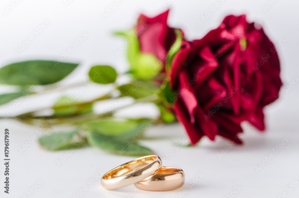 Wedding concept with rings and roses Wedding concept with rings and roses
