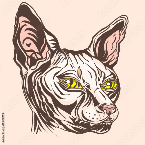 sketch of a cat's head. Black and white Portrait of a Sphinx cat with yellow eyes. . Hand drawn cat breed Sphinx. Hairless naked cat. Graphic vector illustration.