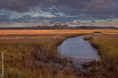 Shadow Play  Marsh