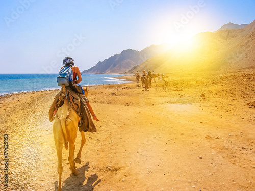 tourists and undefined woman on camels ride with Bedouins along the coast of the golden city famous for its sunsets and Blue Hole. Dahab, Red Sea, Sinai Peninsula, Egypt photo