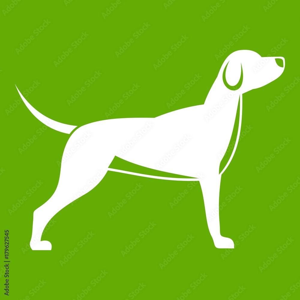 Fototapeta premium Dog icon green