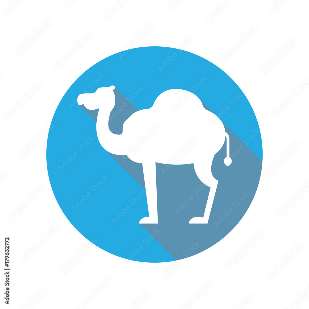 Fototapeta premium camel flat icon