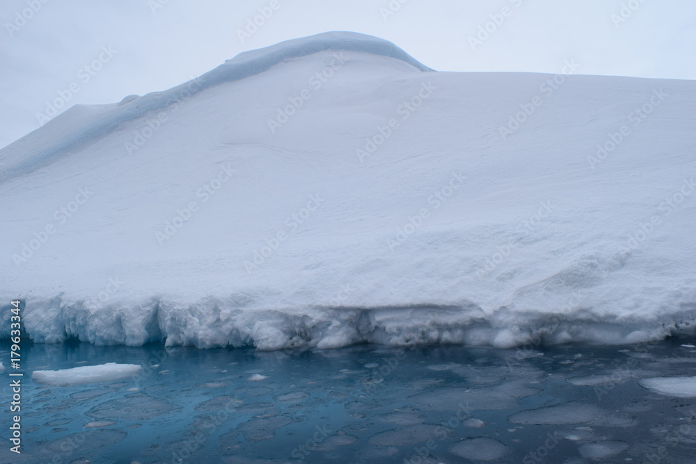 antartic antartic