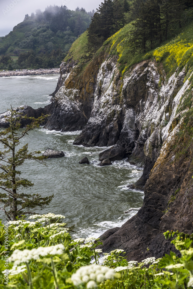 Rocky Coast Rocky Coast