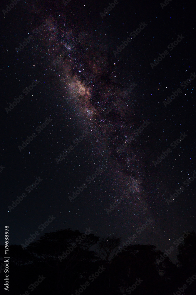 Milky way and stars in dark night