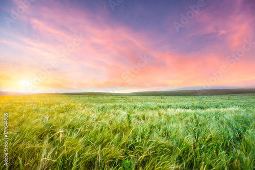 Grassland in China