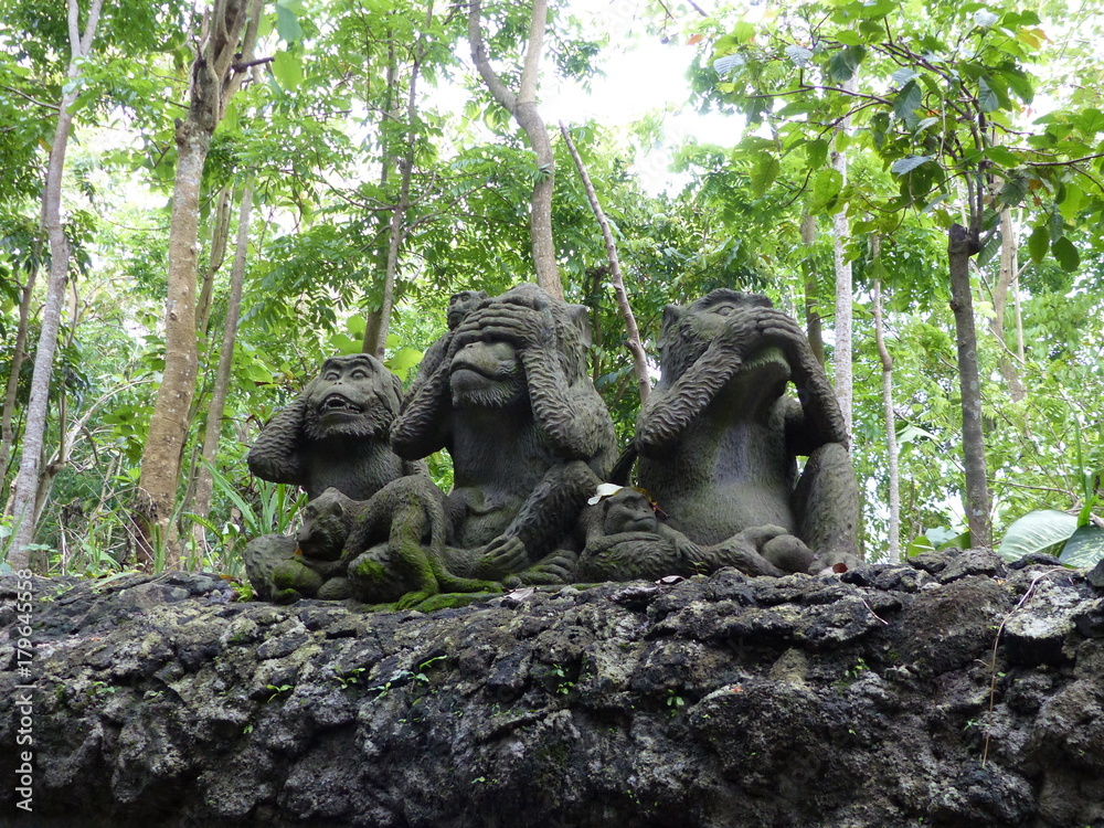 Obraz premium monkey forest Ubud