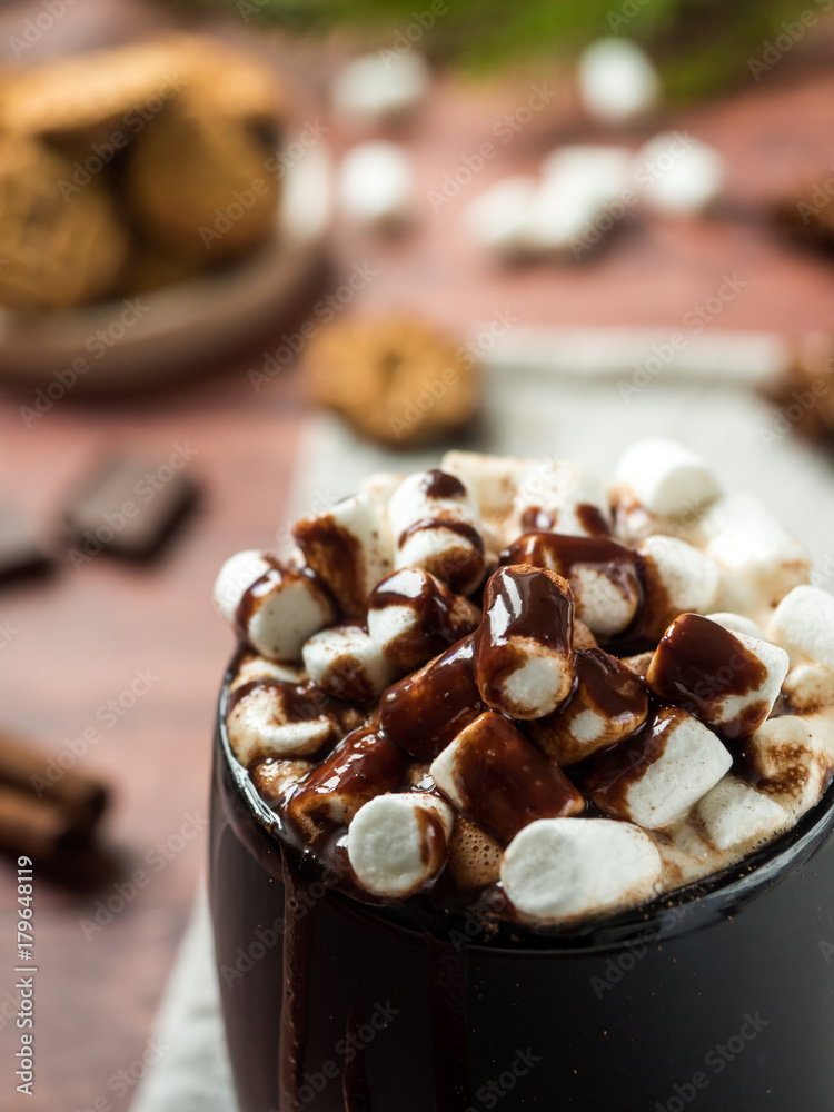Christmas drink Hot chocolate with marshmallow and cinnamon sticks, cookies. Christmas winter concept. Close up Christmas drink Hot chocolate with marshmallow and cinnamon sticks, cookies. Christmas winter concept. Close up