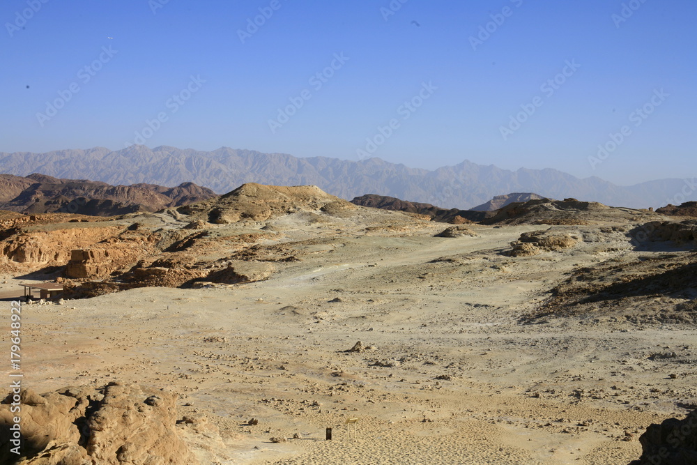 israel desert
