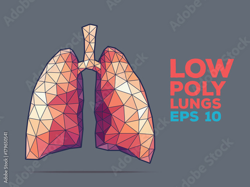 Lungs poly faceted