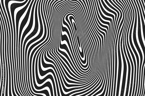 Abstract wavy stripes pattern of twisted curved white and balck ripple lines background. Vector modern trendy distortion 3d relief of curves or geometric zebra texture background