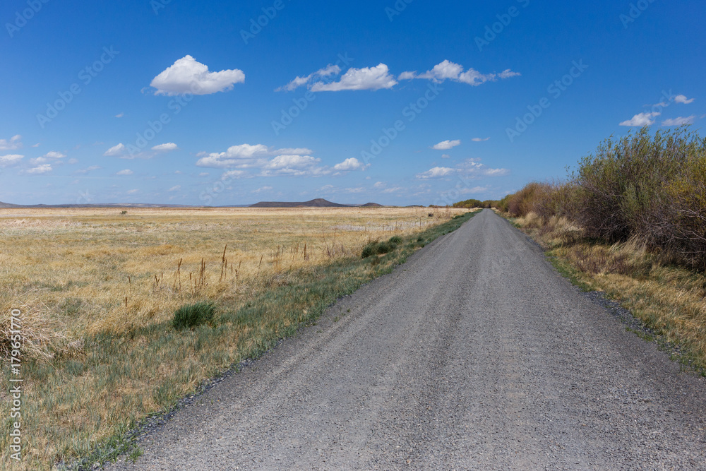 Long gravel road following the edge of an open grassy wetland area with scattered clouds across blue sky.