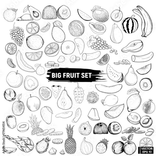 big set of fruits, doodle.