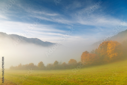 Autumn landscape in fog at misty morning.