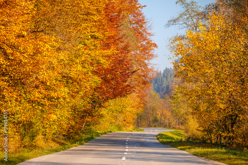 A road through the forest in autumn country.
