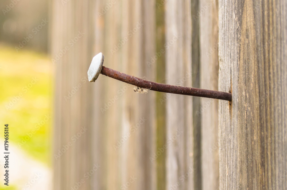 Rusty nail on fence. Rusty nails in a wooden fence.