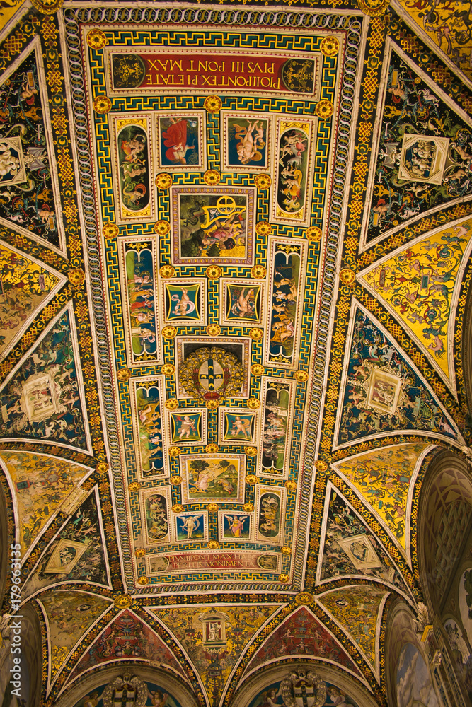 Splendido soffitto della libreria Piccolomini all'interno della cattedrale di Siena, Toscana