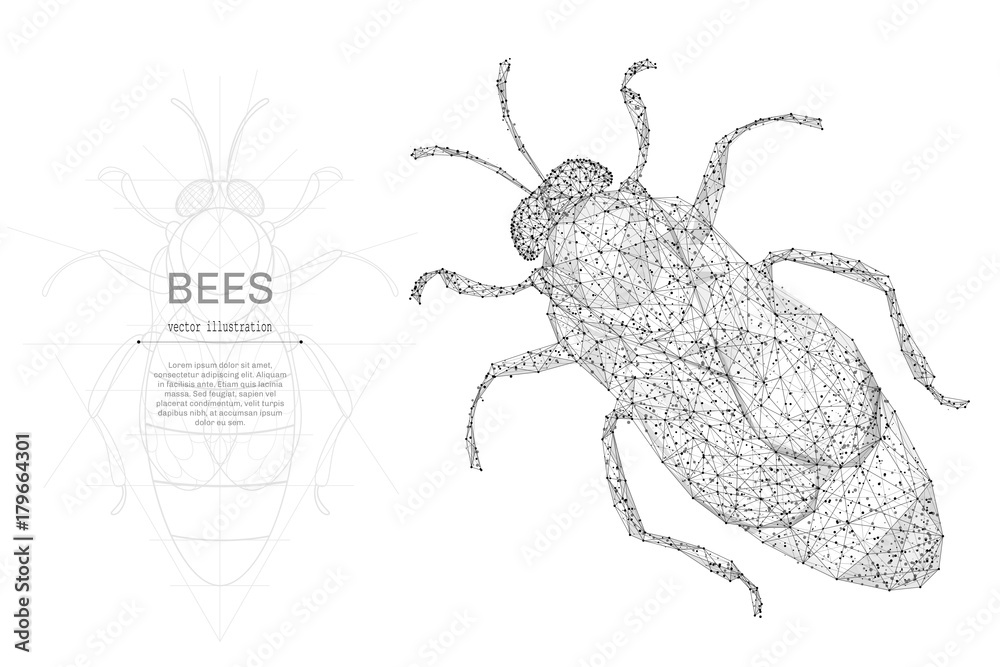 Bee low poly wireframe isolated black on white background. Abstract ...