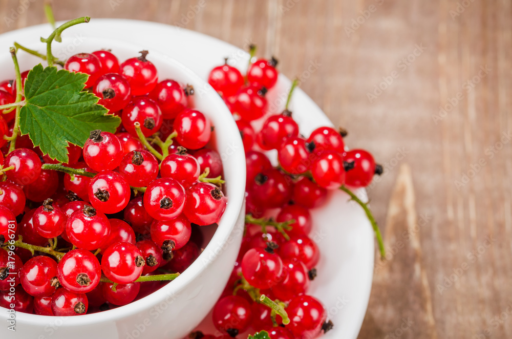 red currant in a white coffee cup/red currant in a white coffee cup on a wooden background. Top view red currant in a white coffee cup/red currant in a white coffee cup on a wooden background. Top view