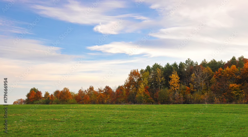 Picturesque white strokes of clouds in bright blue sky above vibrant trimmed green grass and the end of forest with orange and yellow trees. Warm fall day in October, solitary vast area