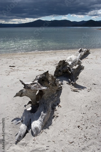 lake waikaremoana Te urewera National Park New Zealand photo