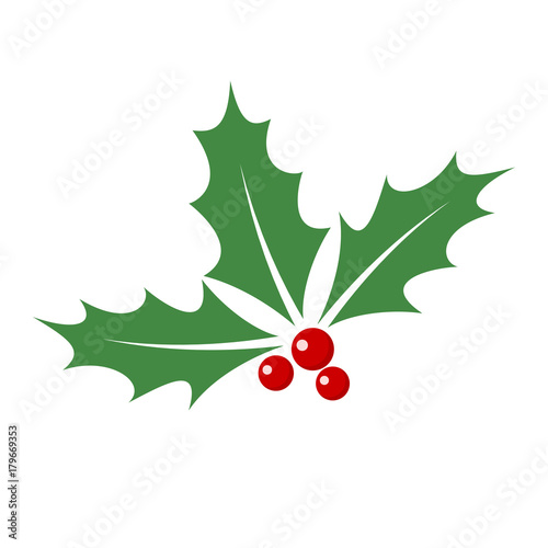 Christmas holly berry leaves. Vector illustration. photo
