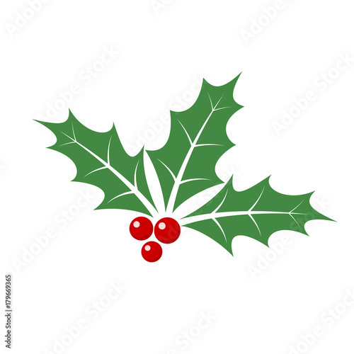 Christmas holly berry leaves. Vector illustration. photo