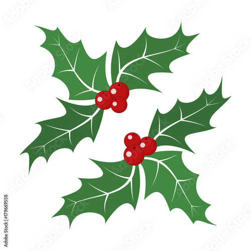 Christmas holly berry leaves. Vector illustration.